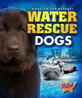 Dogs to the Rescue! - Water Rescue Dogs