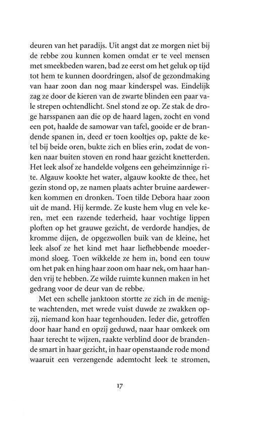 Pagina uit een boek met tekst over Debora en Mendel Singer, met paginanummer 17.