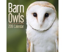 Uilen Kalender 2019 Mini
