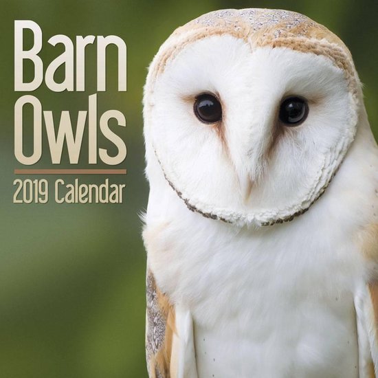 Uilen Kalender 2019 Mini