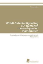 Wnt/ß-Catenin-Signalling auf humanen mesenchymalen Stammzellen