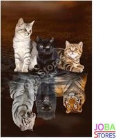 Peinture au diamant "JobaStores®" Chatons-Grands Chats - complète - 30x40cm