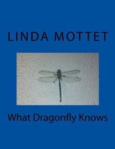 What Dragonfly Knows