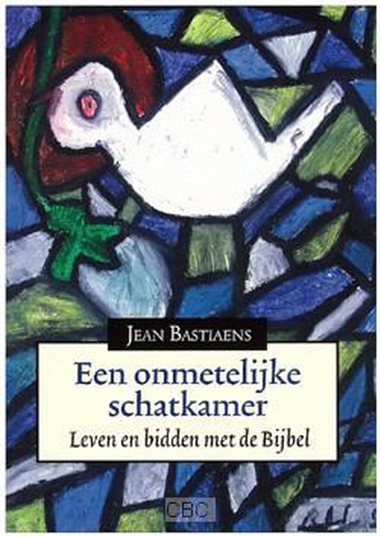 Een Onmetelijke Schatkamer - Jean Bastiaens | 