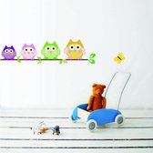 Muursticker vier uiltjes op een tak | kinderkamer - babykamer | modern - decoratie - kleurrijk