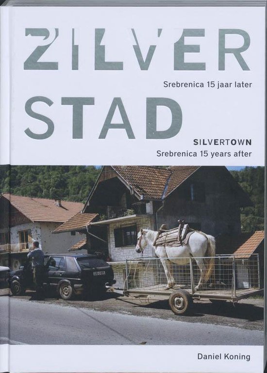 Cover van het boek 'Zilverstad = Silvertown' van D. Koning