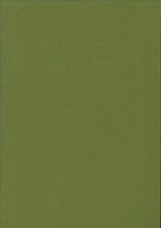 Gekleurd papier - Legergroen - 220 gram - 3 x 6 vel - A4 - 21 x 29,7 cm