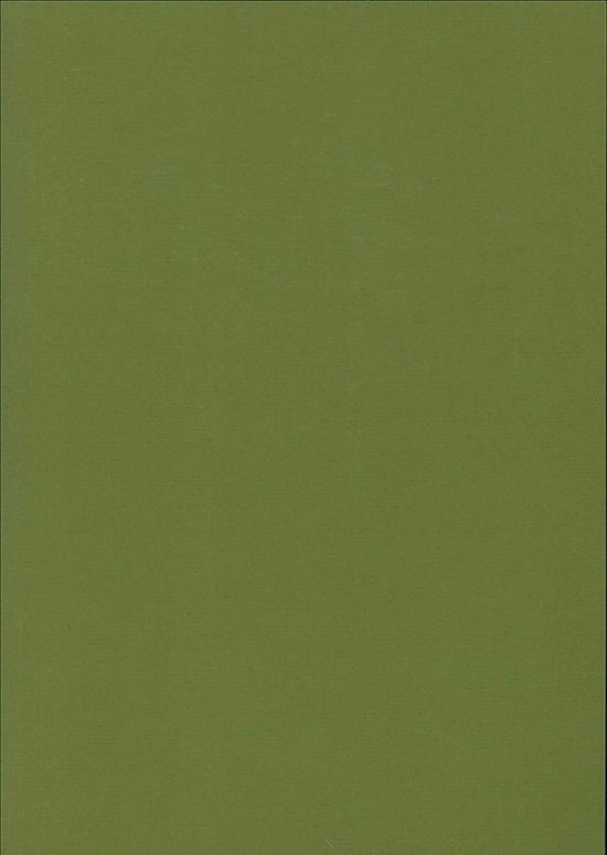 Gekleurd papier - Legergroen - 220 gram - 3 x 6 vel - A4 - 21 x 29,7 cm |  bol.com
