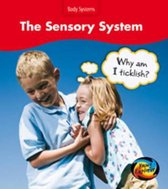 The Sensory System
