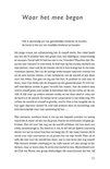 Product afbeelding  8