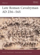 Late Roman Cavalryman Ad 236 565