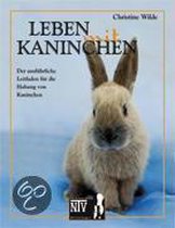 Leben Mit Kaninchen