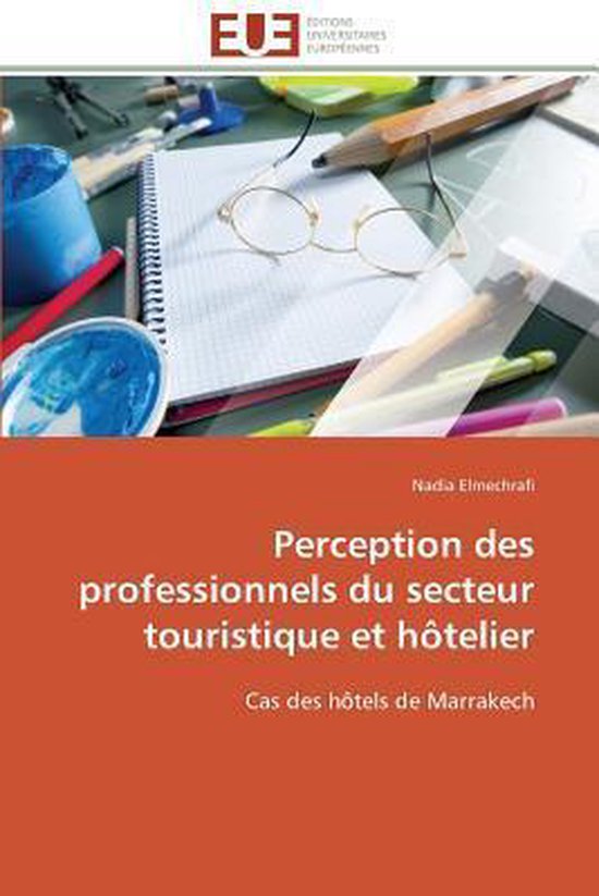Perception des professionnels du secteur touristique et hôtelier