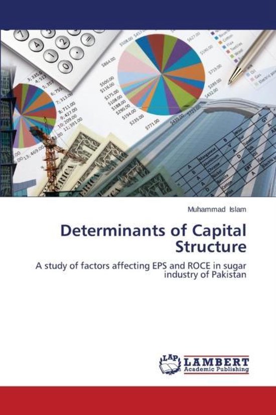 determinants of capital structure literature review