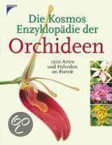 Die Kosmos Enzyklopädie der Orchideen