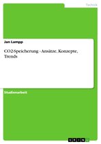 CO2-Speicherung - Ansätze, Konzepte, Trends: Ansätze, Konzepte, Trends
