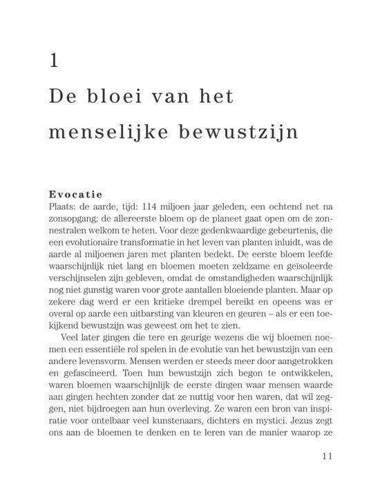 Eerste pagina: De bloei van het menselijke bewustzijn