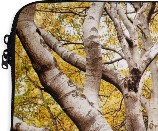Housse pour ordinateur portable 15 pouces - Automne - Arbres - Feuilles - nature - Housse pour ordinateur portable