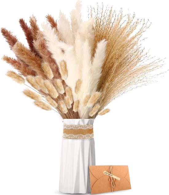 Piccolo Seeds Zaadset voor Eetbare Bloemen, 1 Set - Bloomling België