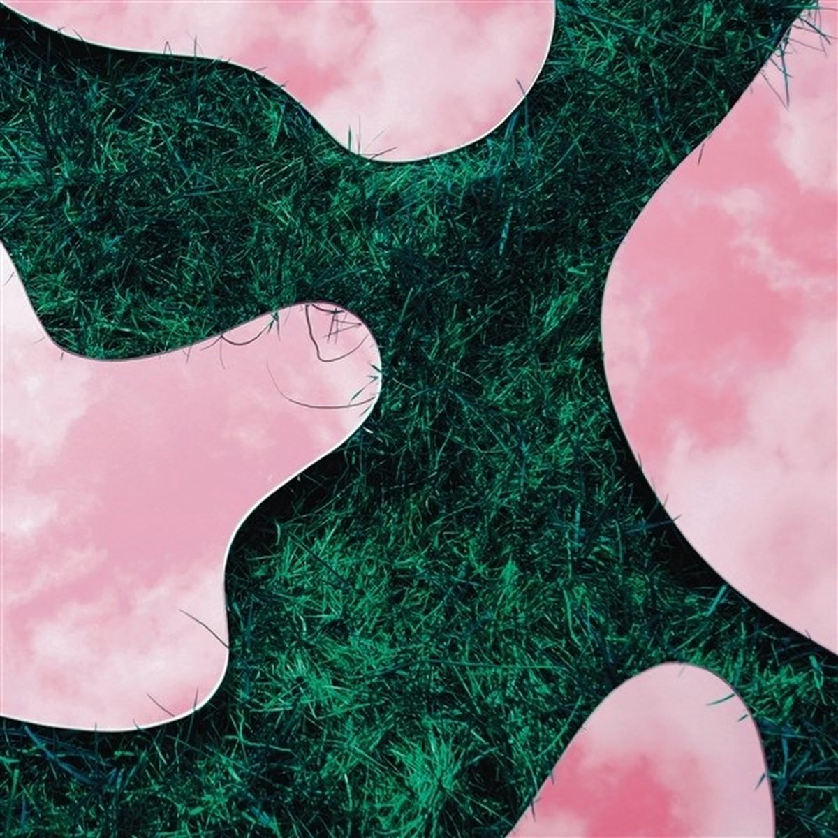 Lee Paradise - Lee Paradise & Co (LP)