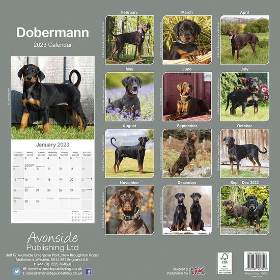 Dobermans Kalender 2023 bol.com