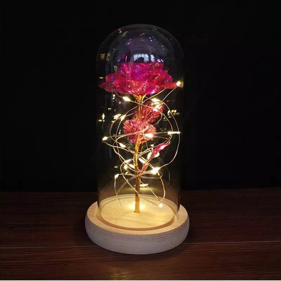 Common Goods - Rode galaxy in glazen stolp met LED – Rozen - Vrouwen cadeautjes - Moederdag cadeautje - Mama - Huwelijkscadeau - Liefdes cadeau - Valentijnsdag - Verjaardag - Vriendin
