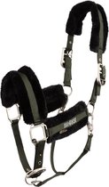 Colophane Ours Halter - Poney
