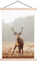 Porte-affiche avec affiche - Affiche scolaire - Cerf - Forêt - Brume - 40x60 cm - lattes vierges