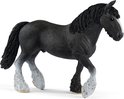 Zwart paard met witte bles en witte kousen op de benen.