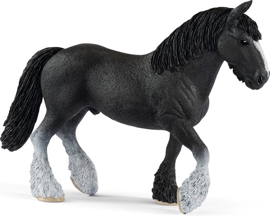 Zwart paard met witte bles en witte kousen op de benen.