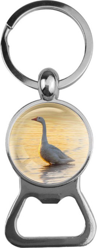 Bière ouvre Glas - Goose