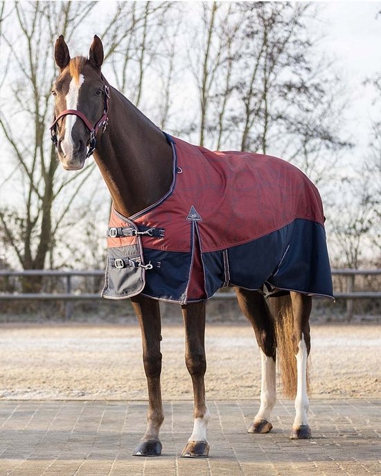 Couverture de paddock QHP Collection Falabella - 150gr – LR SELLERIE