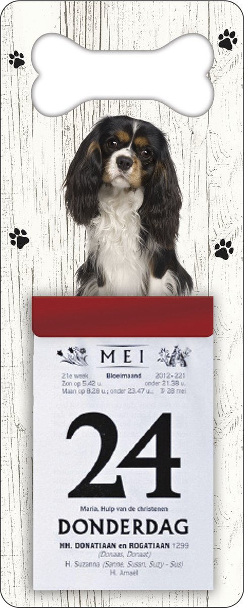 Scheurkalender 2026 Hond: King Charles