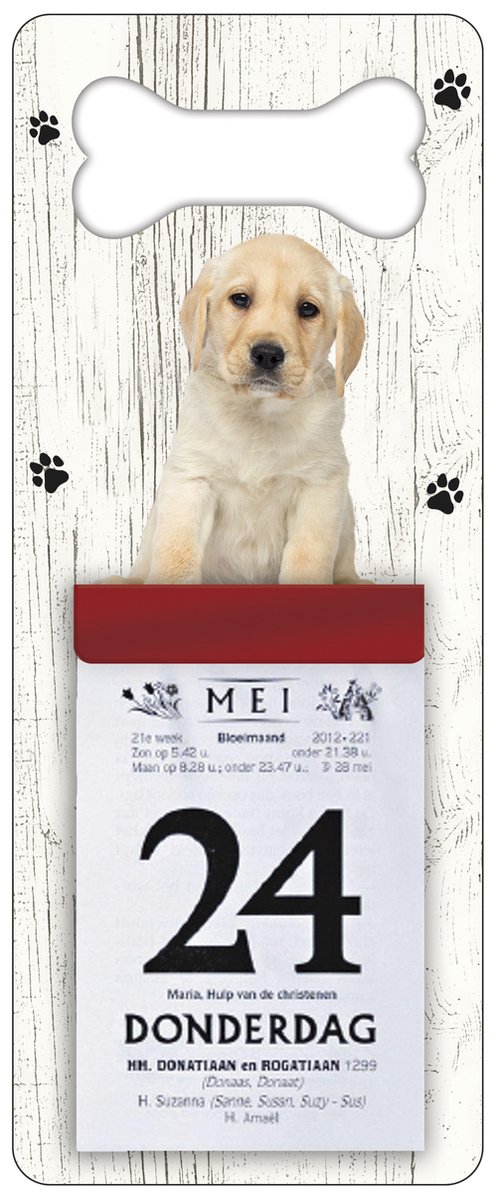 Scheurkalender 2026 Hond: Labrador Pup