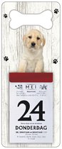 Scheurkalender 2024 Hond: Labrador Pup