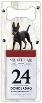 Scheurkalender 2024 Hond: Doberman Pinscher