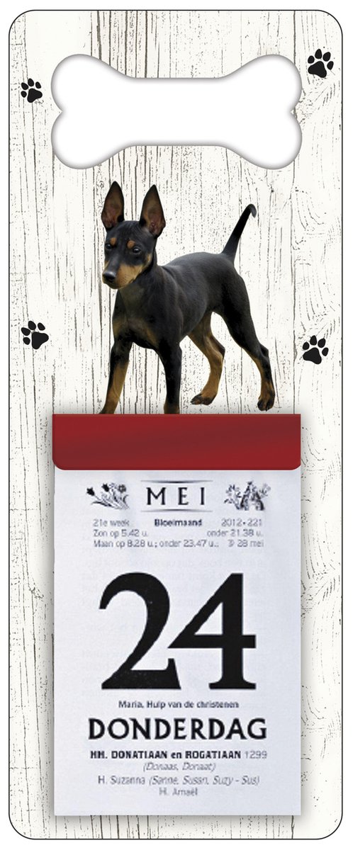 Scheurkalender 2026 Hond: Doberman Pinscher