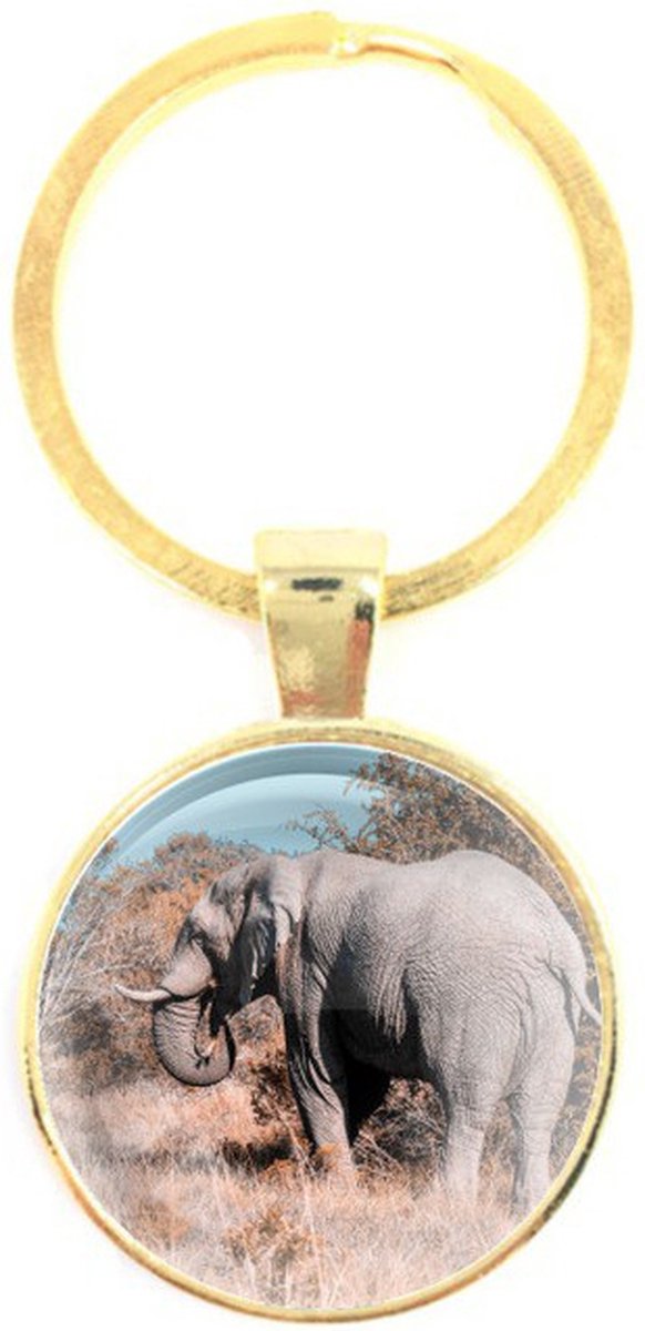 Sleutelhanger Glas - Olifant