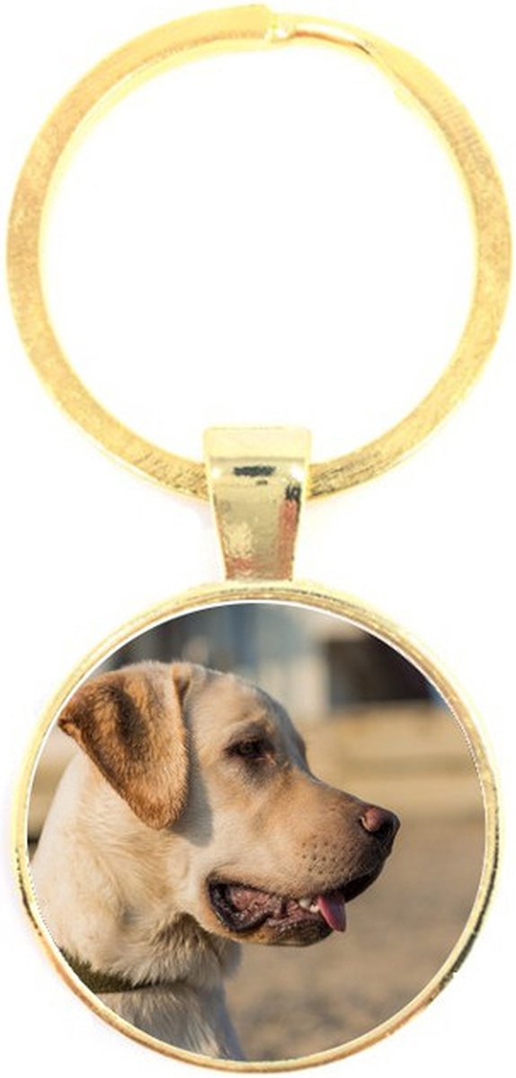 Sleutelhanger Glas - Hond