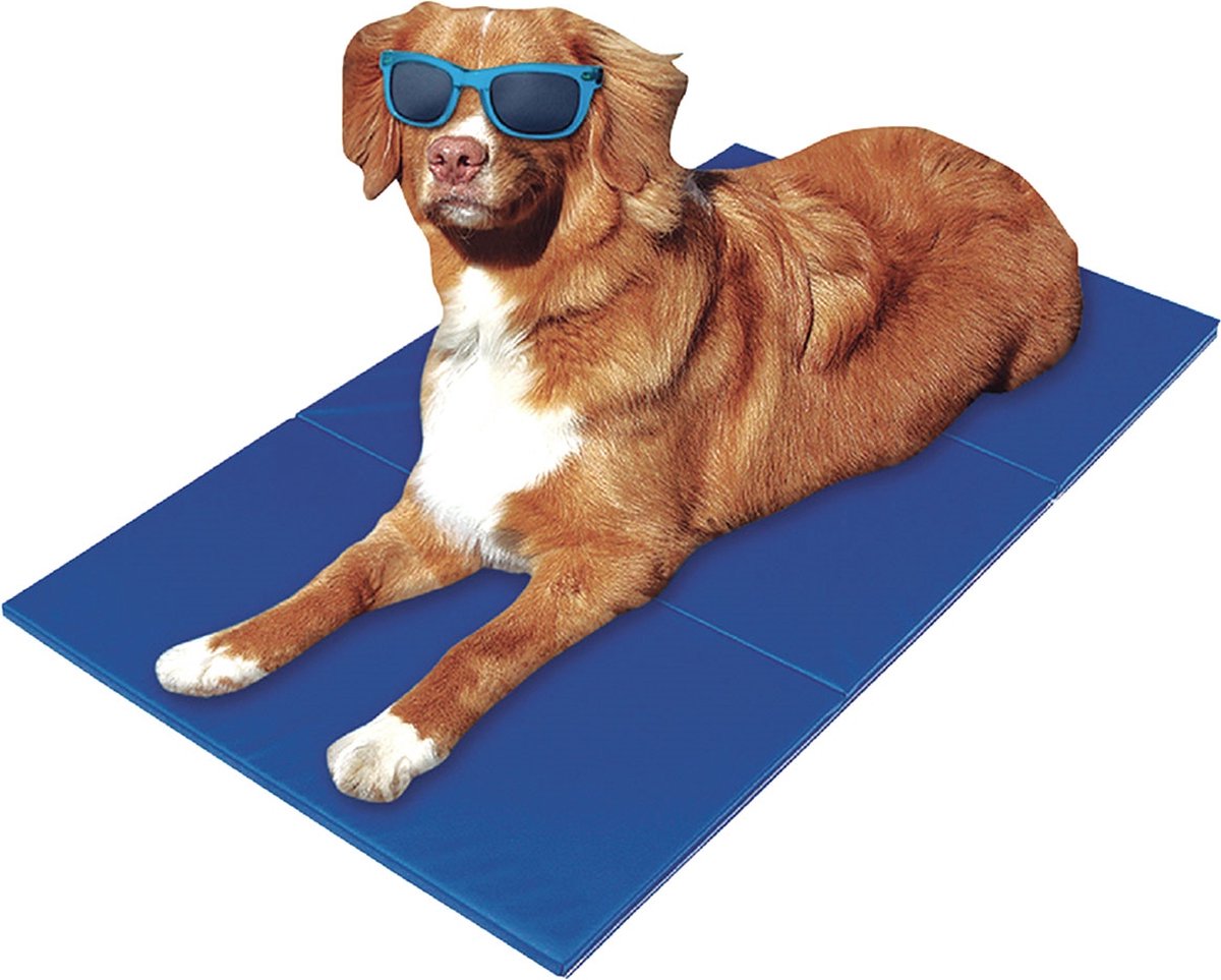 Bol.com Koelmat XL voor Hond en Kat - 80 x 60 cm - Cooling Mat - Blauw aanbieding