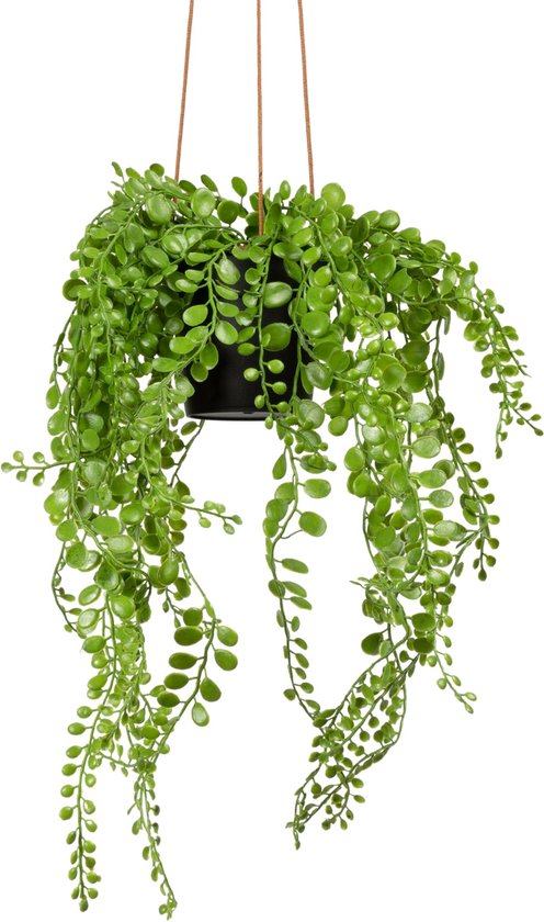 Everplant Kunst Hangplant Peperomia 45 cm - Kunstplanten - Kunstplanten  Voor Binnen -... | bol.com
