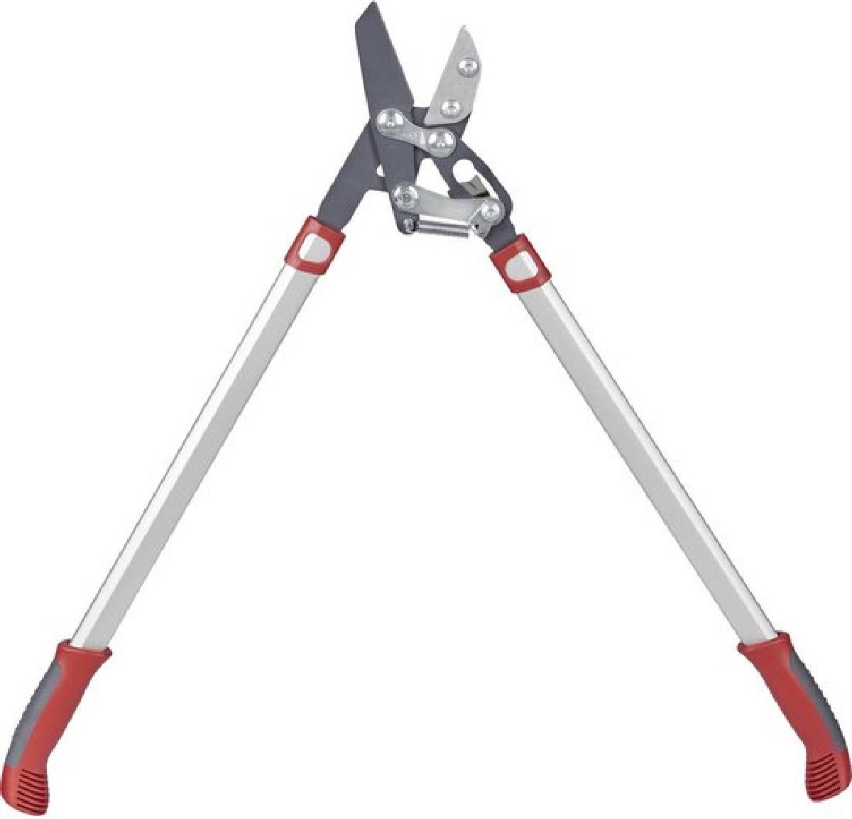 Wolf-Garten Power Cut RS 800 V Coupe-branches - 50 mm