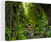 Canvas - Schilderij jungle - Bos - Water - Jungle - Muurdecoratie - Foto op canvas - 120x80 cm