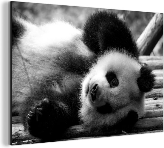 Wanddecoratie Metaal - Aluminium Schilderij Industrieel - Dierenprofiel rollende panda in zwart-wit - 120x80 cm - Dibond - Foto op aluminium - Industriële muurdecoratie - Voor de woonkamer/slaapkamer