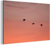 Oies cendrées volant dans le ciel rouge Aluminium 120x80 cm - Tirage photo sur aluminium (décoration murale métal)