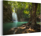 Wanddecoratie Metaal - Aluminium Schilderij Industrieel - Een tropische boom in het Thaise Nationaal park Erawan - 150x100 cm - Dibond - Foto op aluminium - Industriële muurdecoratie - Voor de woonkamer/slaapkamer