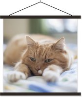 Posterhanger incl. Poster 120x120 cm - Schoolplaat - Kat - Bed - Bedsprei - Meisjes - Kinderen - Jongens - Kind - Textielposter - Zwarte latten