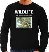Dieren foto sweater Luiaard - zwart - heren - wildlife of the world - cadeau trui Luiaarden liefhebber M