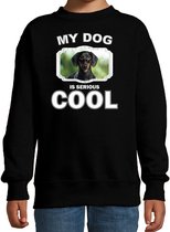 Coole teckel honden trui / sweater my dog is serious cool zwart - kinderen - teckel liefhebber cadeau sweaters - kinderkleding / kleding 122/128