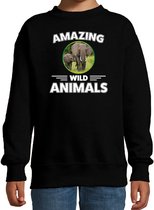 Sweater olifant - zwart - kinderen - amazing wild animals - cadeau trui olifant / olifanten liefhebber 110/116